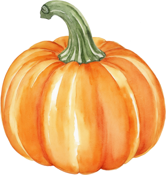 Watercolor pumpkin illustration