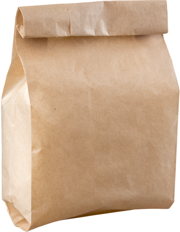 Brown Paper Bag - Isolated